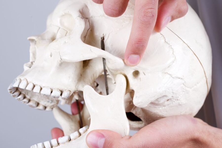 Articulación temporomandibular