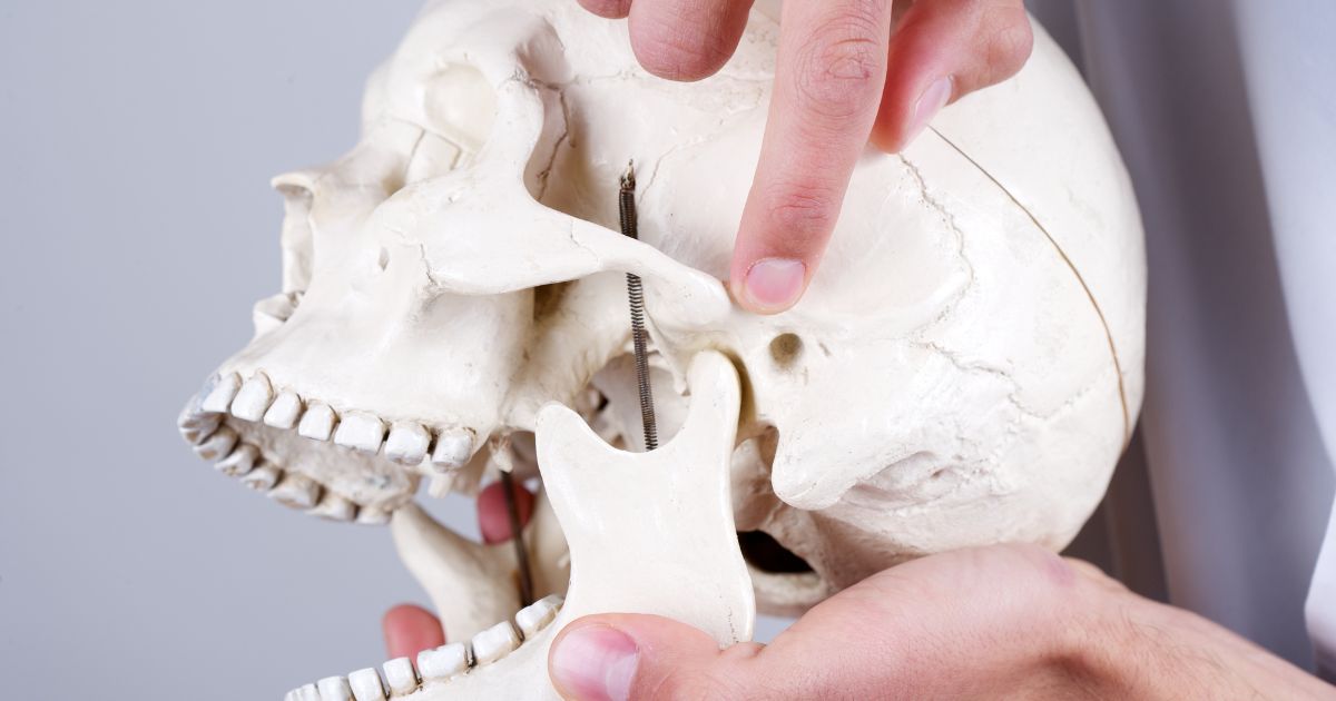 Articulación temporomandibular
