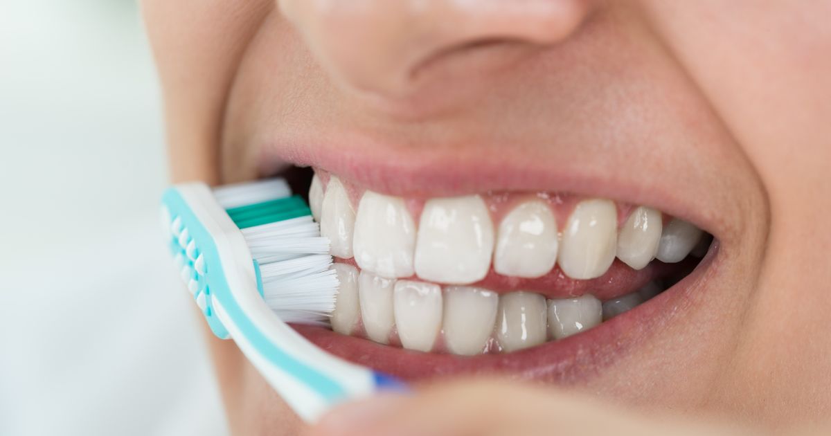 ¿Cómo se llaman los dientes?